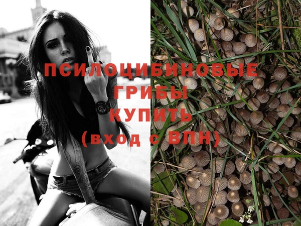 гашишное масло Абаза