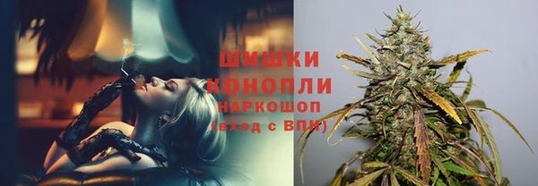 PSILOCYBIN Абдулино