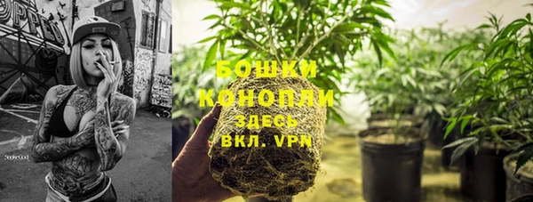 PSILOCYBIN Абдулино