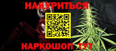 скорость Новозыбков