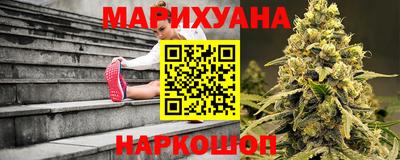 скорость Новозыбков