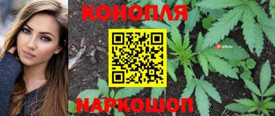 скорость Новозыбков