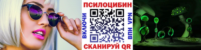 где купить   Южноуральск  Псилоцибиновые грибы мицелий 