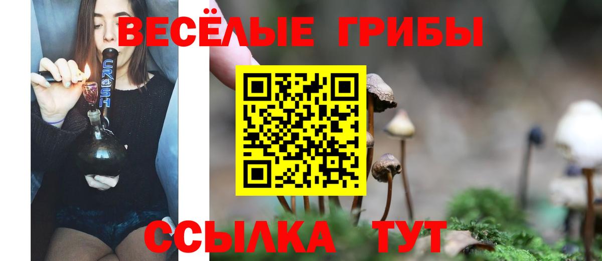Галлюциногенные грибы прущие грибы  Вход с VPN  Южноуральск 